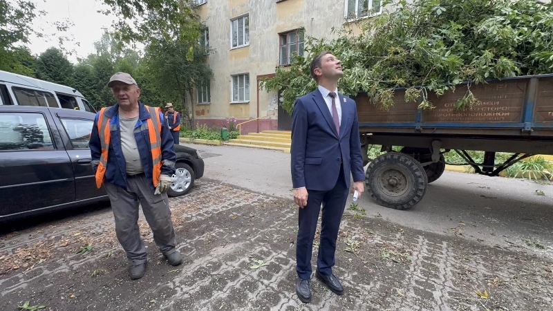 дерево